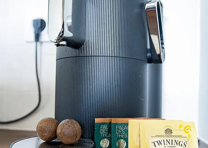 Artiste - Vue Sur Les Quais De La Garonne - Hypercentre *