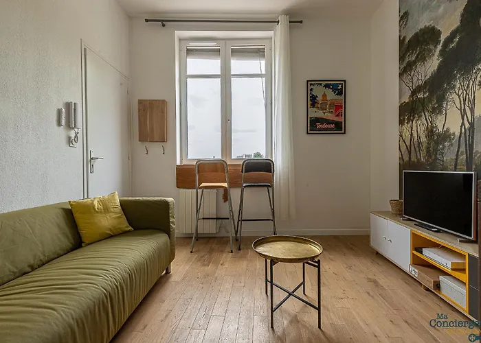 Artiste - Vue Sur Les Quais De La Garonne - Hypercentre アパート トゥールーズ