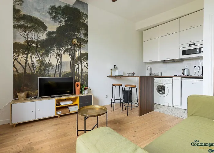 Artiste - Vue Sur Les Quais De La Garonne - Hypercentre * トゥールーズ