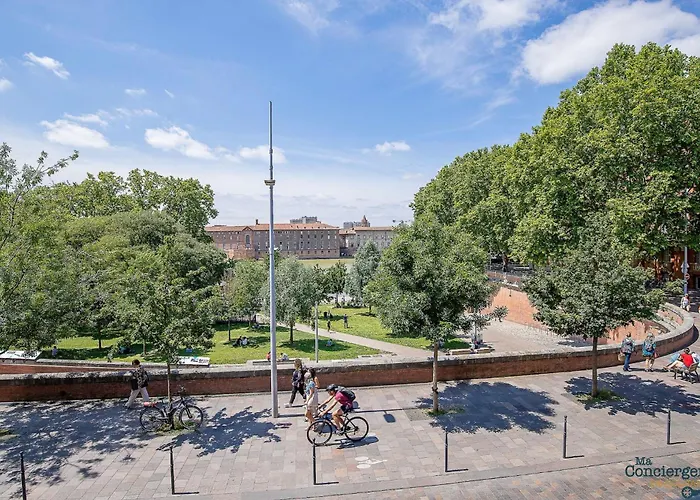 Artiste - Vue Sur Les Quais De La Garonne - Hypercentre *